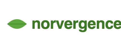 Norvergence wordmark